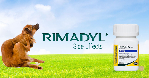 Rimadyl Side Effects EntirelyPets Pharmacy