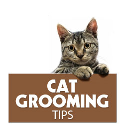 Dog Grooming Tips