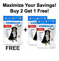 Cosequin Soft Chews