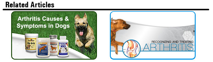Related Articles