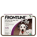 Frontline