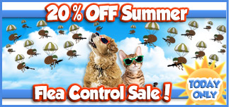 20% off Summer Flea Sale