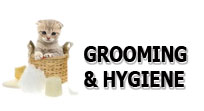 Cat Supplies Cat Grooming and Hygiene