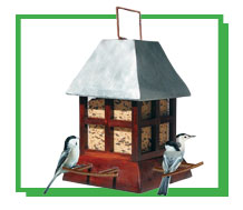 birdscapes
