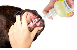 Ora-clens wipes in use