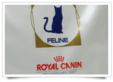 pet food