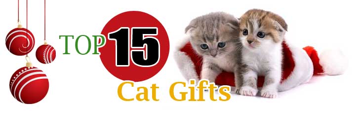 Top Gifts for cats