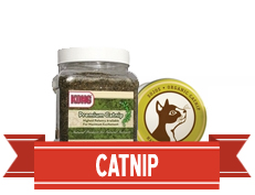 Catnip