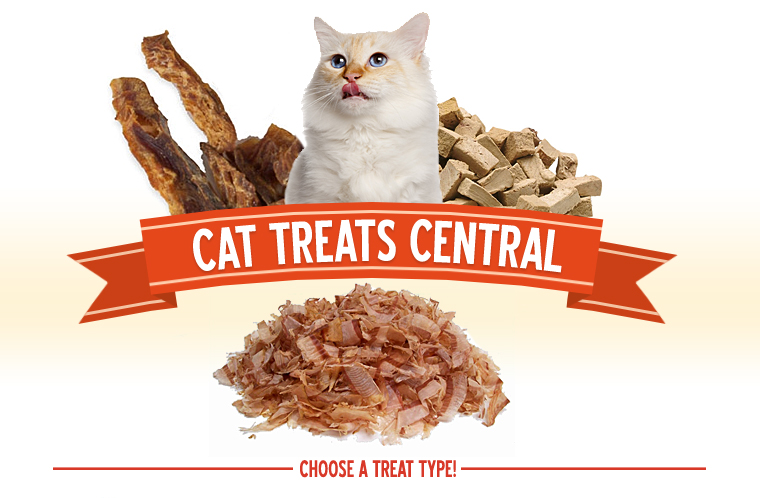 Cat Treats Central