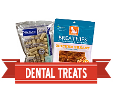 Dental Treats