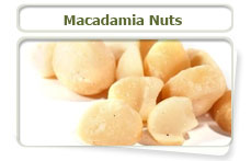 Macadamia nuts contain high phosphorus, which can be harmful to dogs