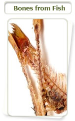 Bones from Fish