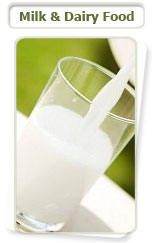Milk and Dairy Food