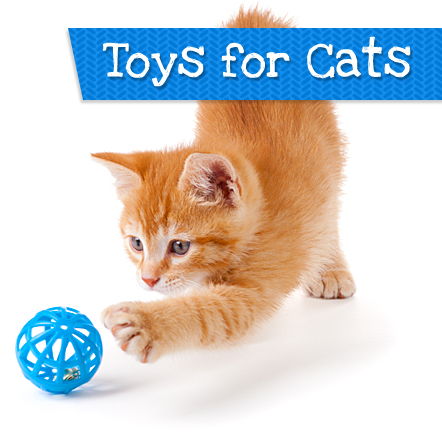 Toys for Cats