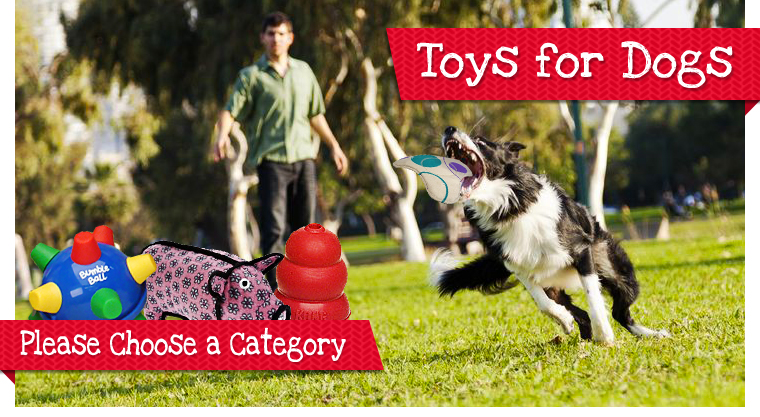 Dog Toys
