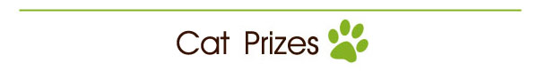 Prizes