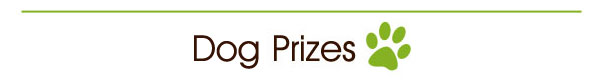 Prizes