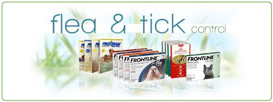 Flea & Tick