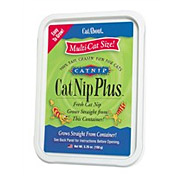 Cat A'bout CatNip