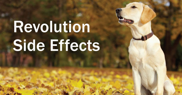Revolution for Dogs Side Effects EntirelyPets Rx