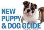 healthy-safety-dog-articles